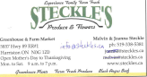 Steckle's