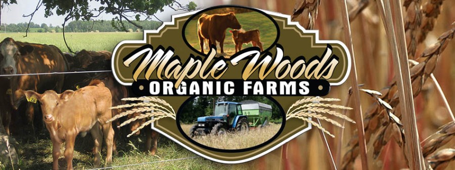 Maple Woods Organic Farms