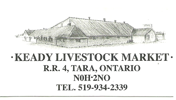 Keady Livestock Market