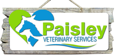 Paisley Vet Services