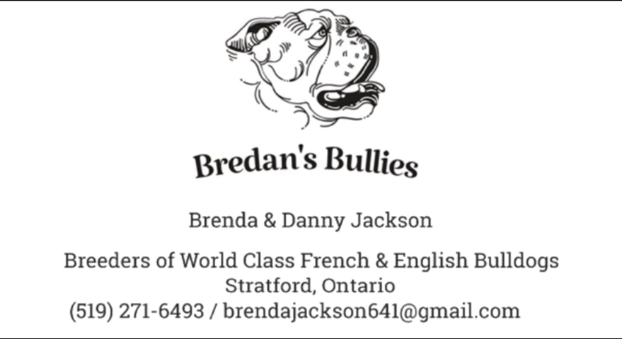 Bredan's Bullies