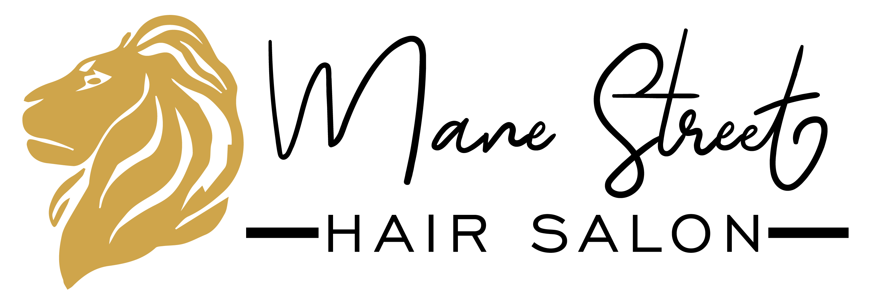 Aveda Mane Street Hair Salon