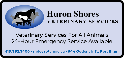 Huron Shores Veterinary Clinic