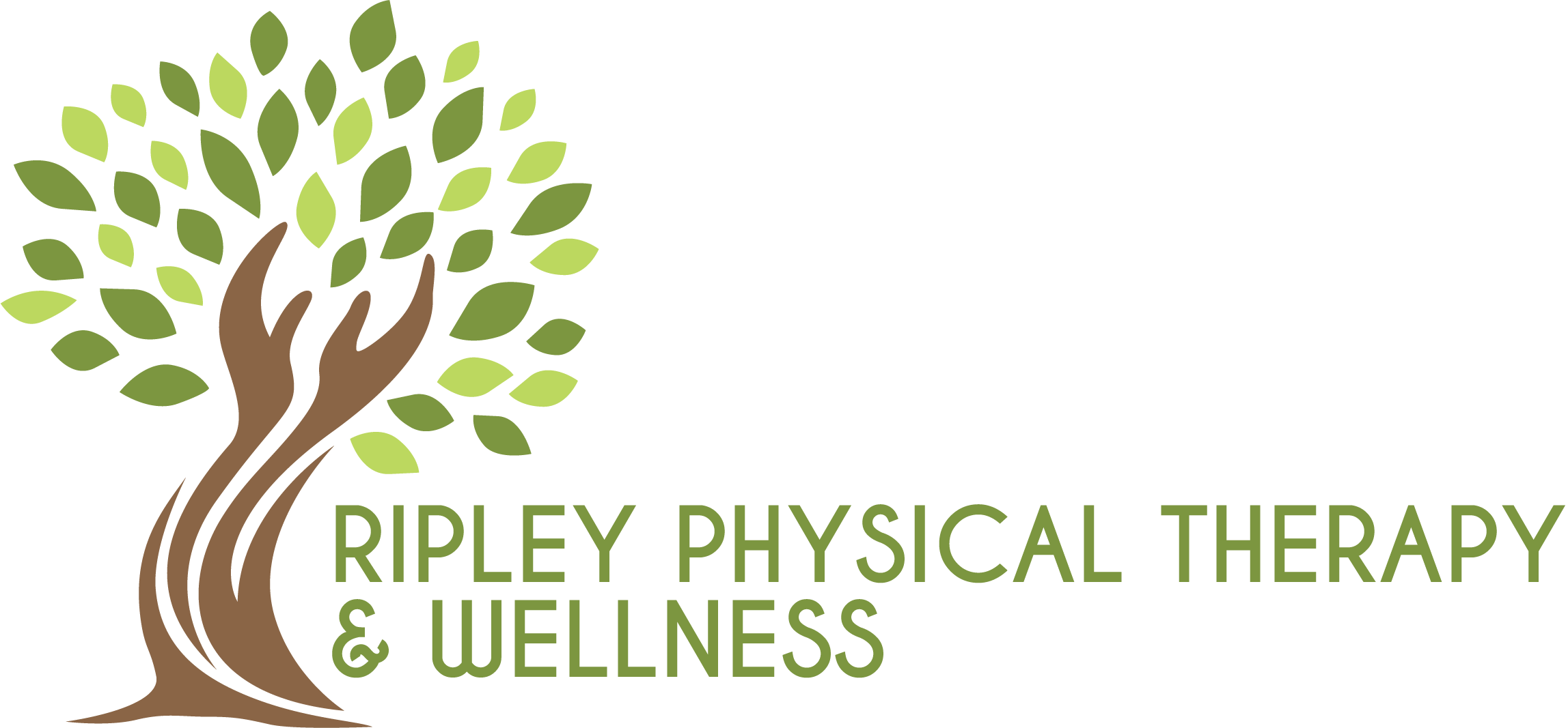 Ripley Physical Therapy 