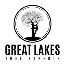 Great Lakes Tree Experts